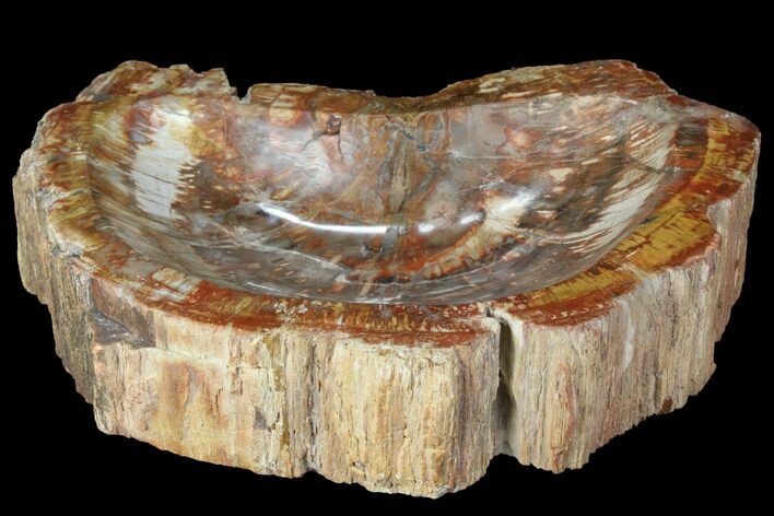 Polished Madagascar Petrified Wood Dish - Madagascar #98289